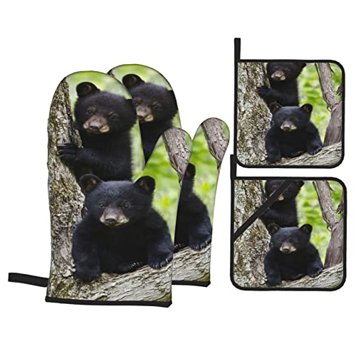 Cute Bear
