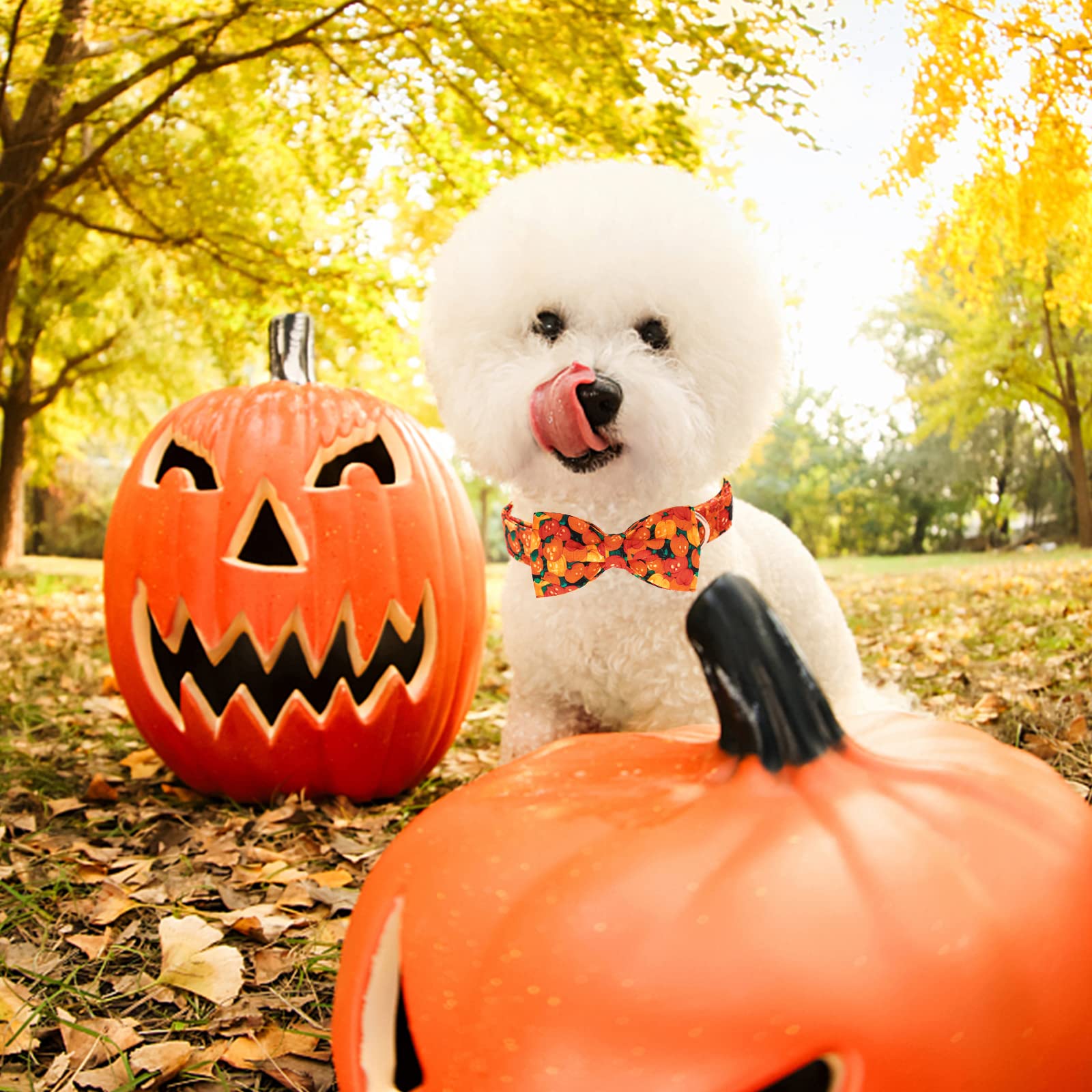 Premium Adjustable Heavy Duty Dog Collar with Bowtie - Lionheart Glory Halloween Pet Collar for Small Dogs | Durable Nylon Puppy Necklace for Daily Walks, Costume Parties & Outdoor Adventures