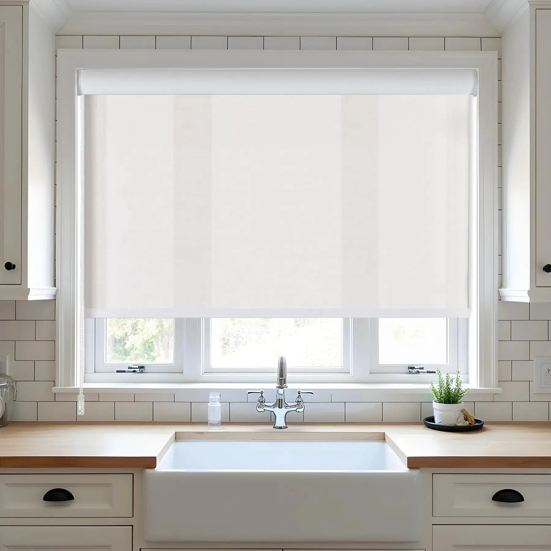 Blackout Roller Shades with Loop Control & Cassette - Light Blocking Window Blinds for Bedroom, Living Room & Home Office - Noise Reducing & Energy Efficient Window Treatment
