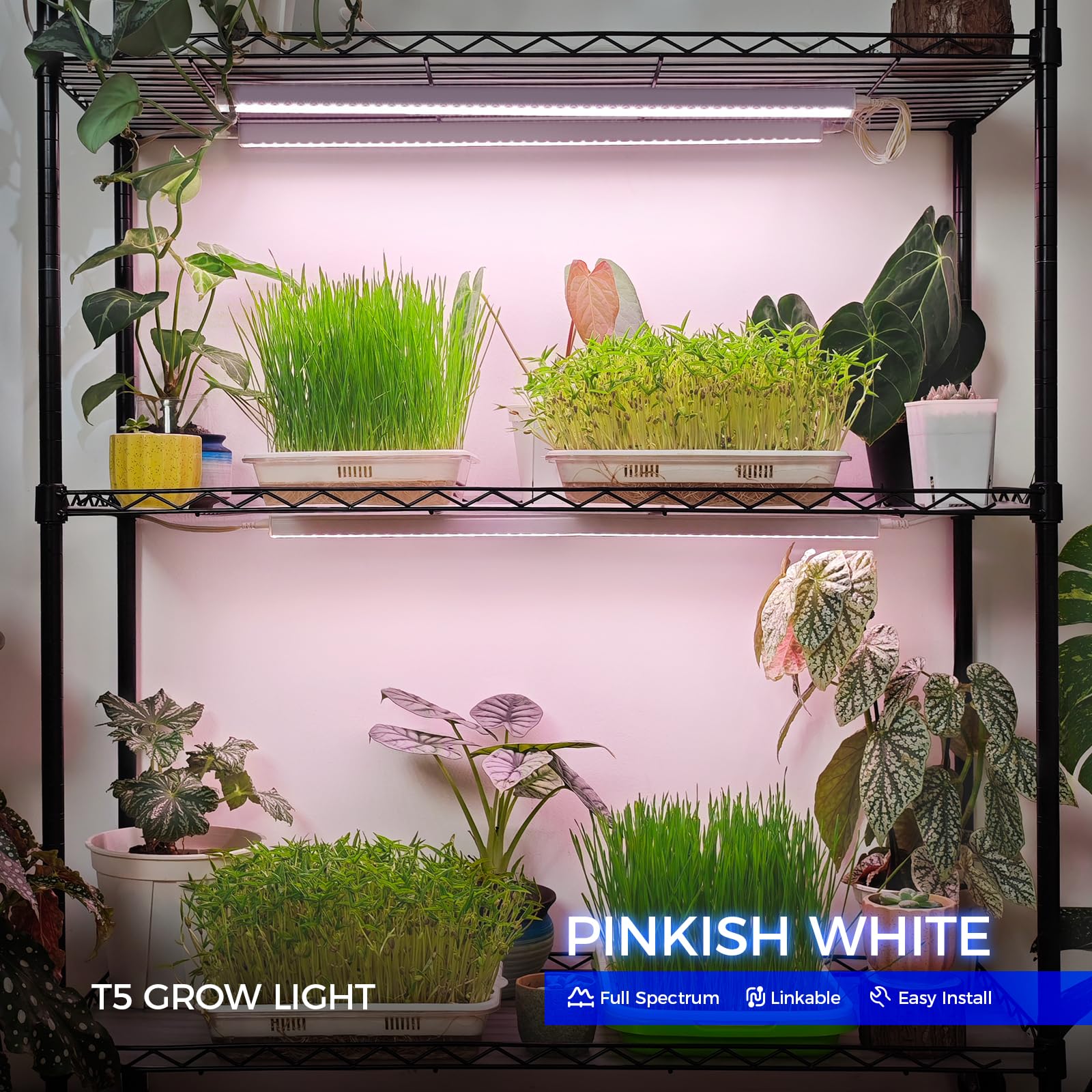 Barrina 4-Pack LED Grow Lights for Indoor Plants - Full Spectrum Sunlight, 2ft 40W (4 x 10W, 250W Equivalent), T5 Grow Light Bulbs, Pinkish White, Plug & Play - Perfect for Hydroponics, Greenhouses & Home Gardening