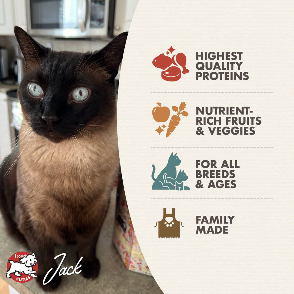 Premium Grain-Free Surf & Turf Cat Dry Food - High Protein, Natural Ingredients for Indoor & Outdoor Cats - Perfect for Weight Management & Sensitive Stomachs