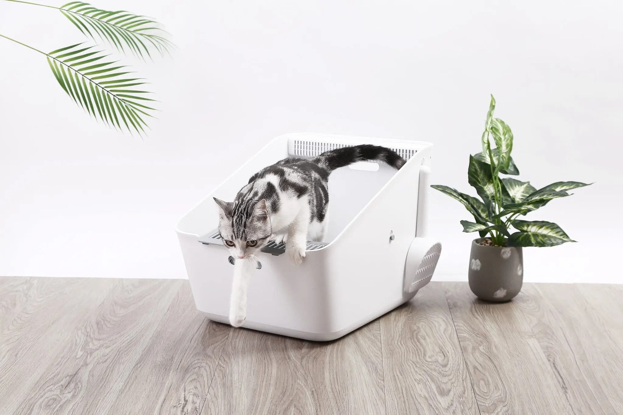 Pura Detective Deodorizing Cat Litter Box - Odor Control & Smart Tracking for Cats - Perfect for Multi-Cat Homes & Small Apartments