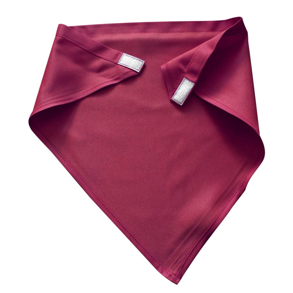 Waiter & Work Apron for Men and Women - Watermelon Red Kitchen, Dining & Bar Uniform - Holiday Baking Championship Chef Apron (One Size) - Perfect for Restaurants, Catering & Home Cooking