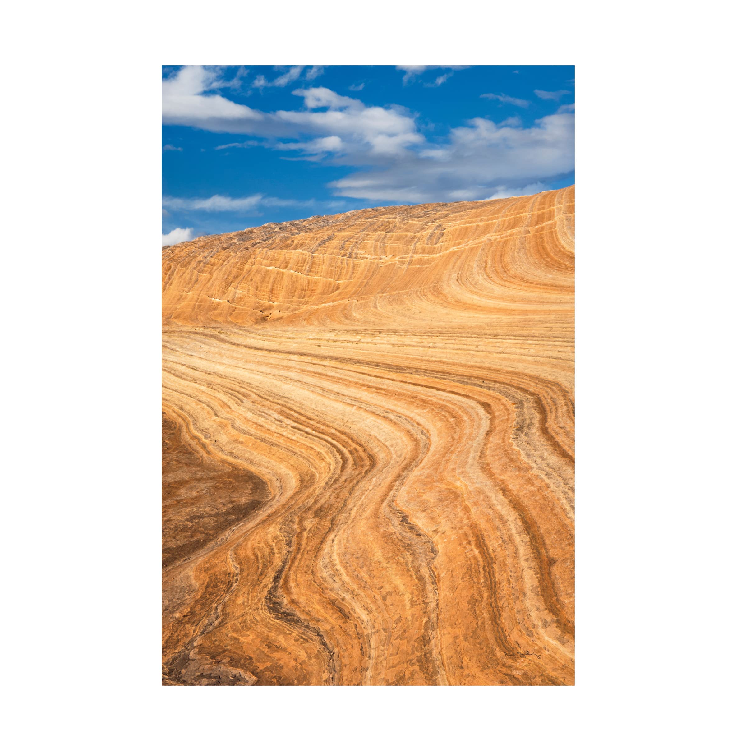 Trademark Fine Art 'Coyote Buttes V' Canvas Wall Art Print by Alan Majchrowicz - Nature Landscape Photography for Living Room & Office Decor