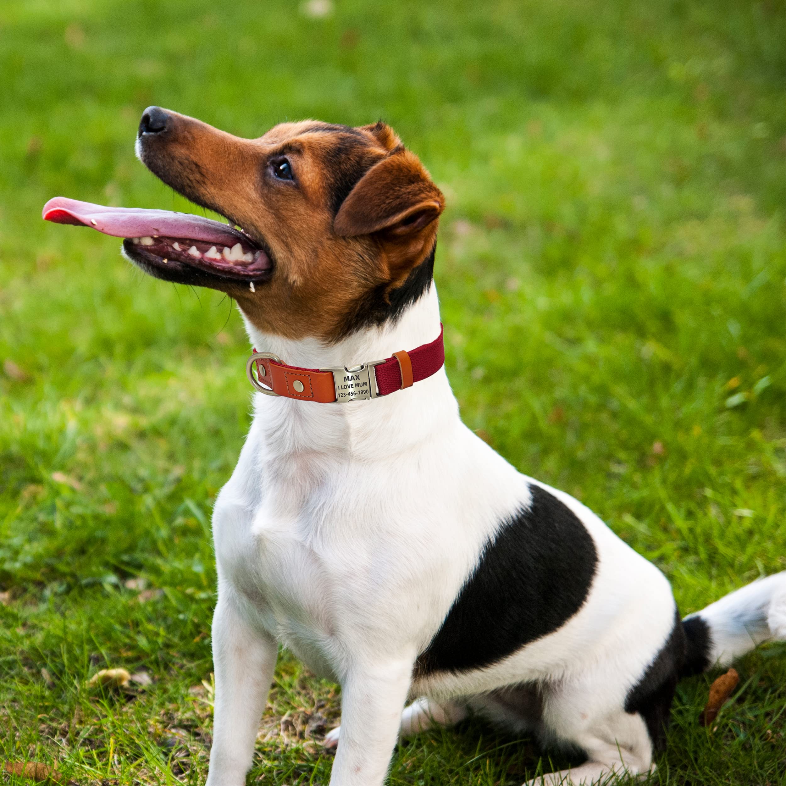 **Personalized Dog Collar & Leash Set - Custom Engraved Name, Adjustable Quick-Release Buckle for Small, Medium & Large Dogs (Red, Size M) - Perfect for Walks, Training & Gifts**