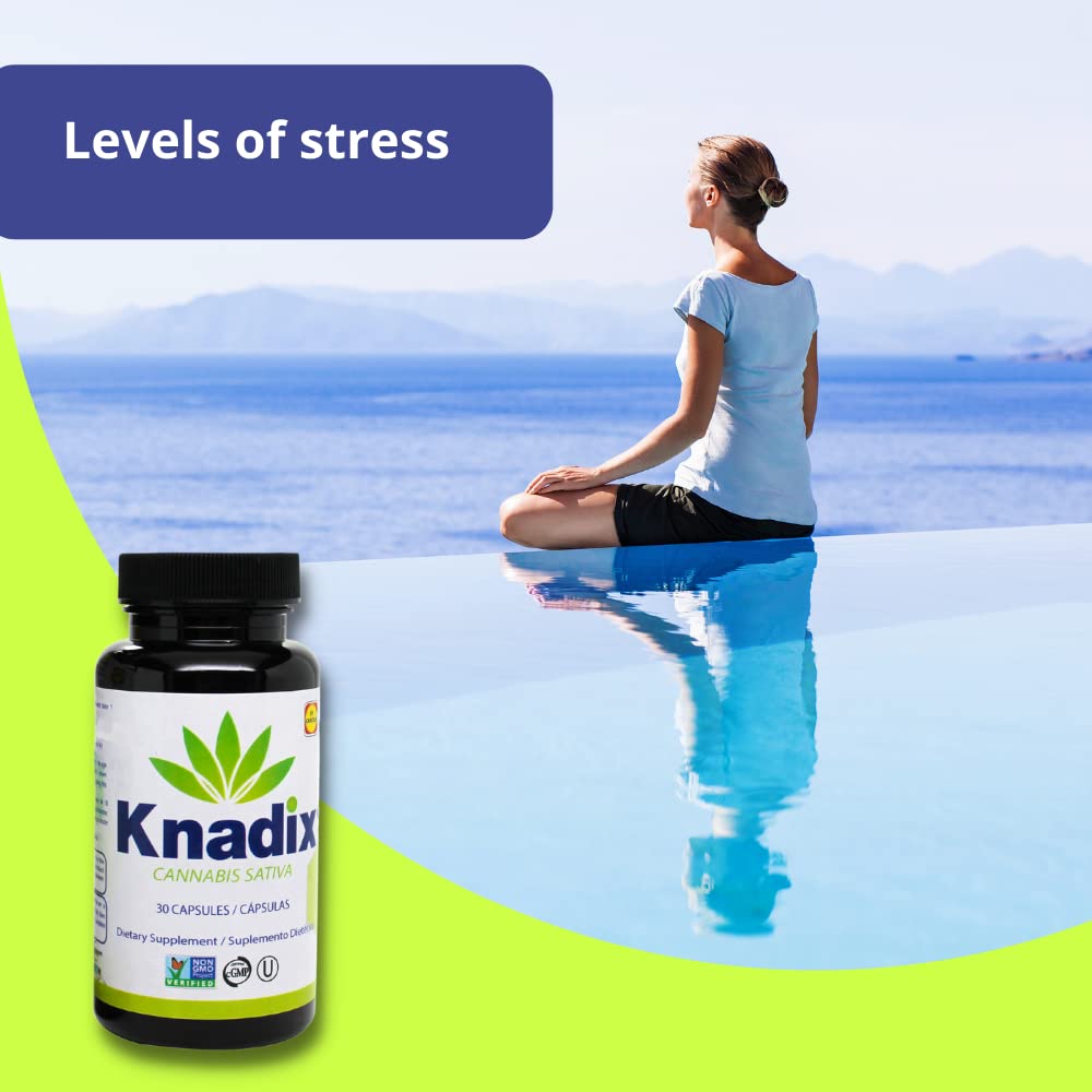 Premium Hemp Oil Supplement for Pain Relief - Supports Bones, Muscles & Joints - Natural Stress & Immune Support with Omega 3-6 Vitamins - 60 Capsules (Pack of 2) - Ideal for Active Lifestyles & Daily Wellness Routine
