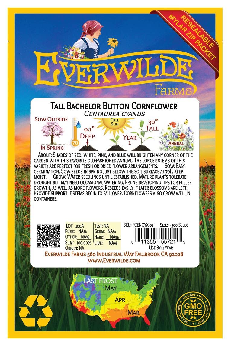 500 Tall Mixed Cornflower Wildflower Seeds - Premium Gold Vault Jumbo Seed Packet by Everwilde Farms - Perfect for Garden Beds, Borders & Pollinator-Friendly Landscapes