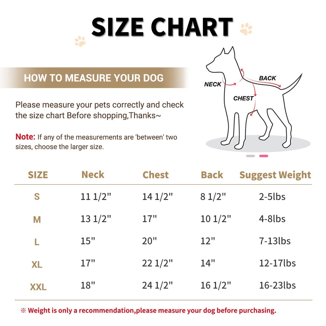 Lesypet Warm Windproof Puffer Dog Jacket for Small Dogs & Puppies - Winter Coat in Pink XXL - Perfect for Cold Weather Walks & Outdoor Adventures