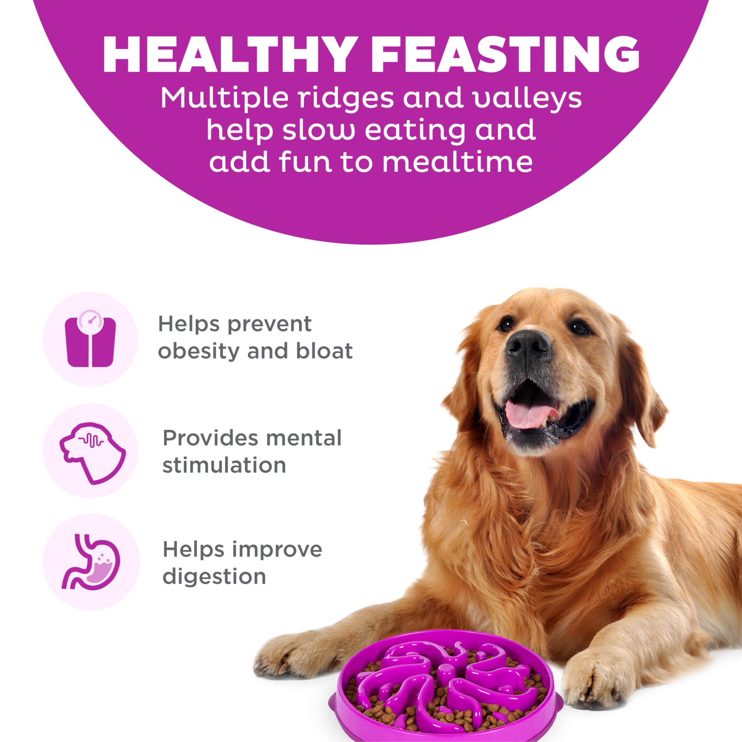 Outward Hound Fun Feeder Slo Bowl - Large Slow Feeder Dog Bowl for Fast Eaters, 4 Cup Capacity, Purple - Perfect for Mealtime Fun & Digestion Aid for Medium to Large Dogs