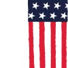 American Flag