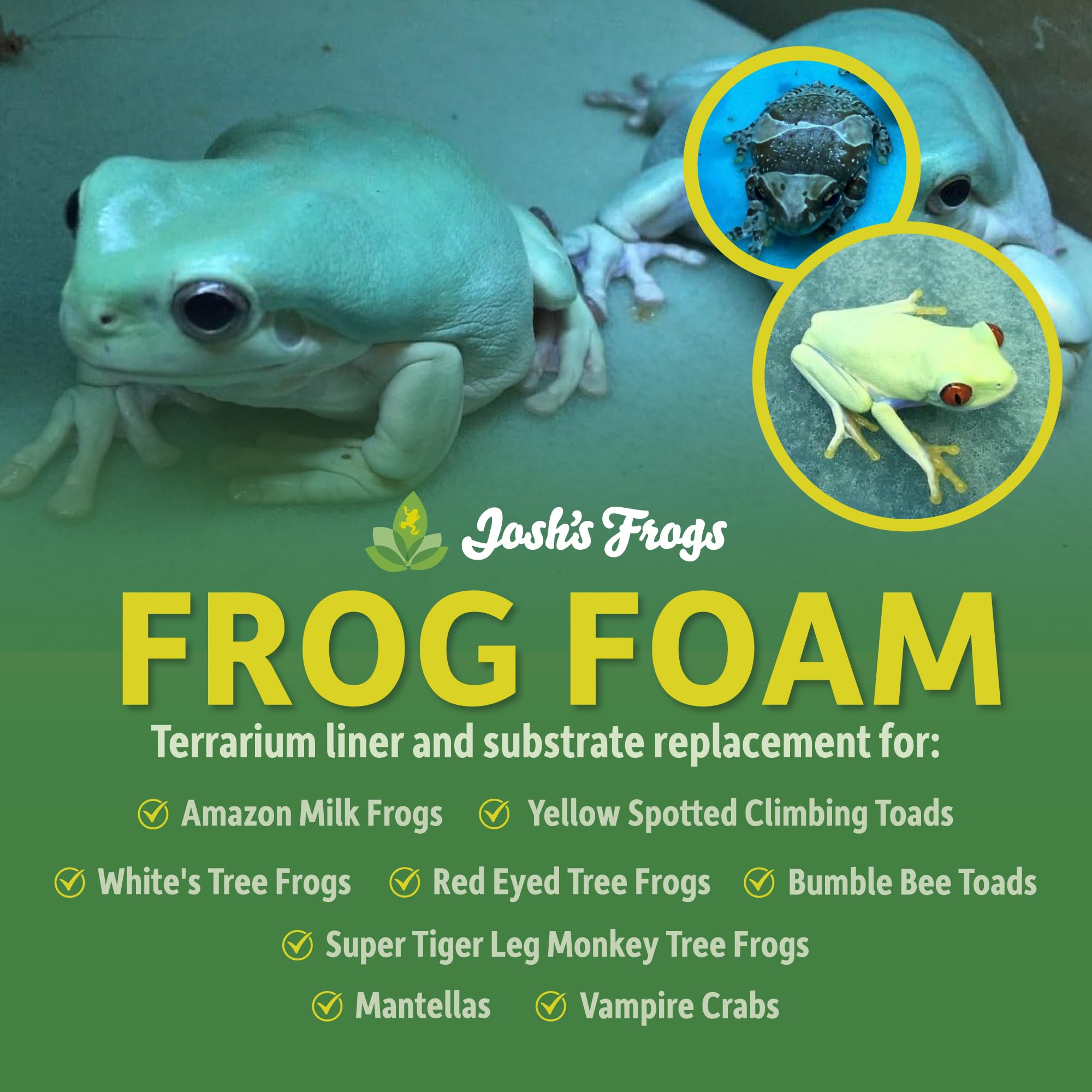 Premium Josh's Frogs Terrarium Liner - 12x12 Inch Frog Foam Substrate for Glass Vivariums | Ideal for Amphibian Habitats, Reptile Tanks & Bioactive Enclosures