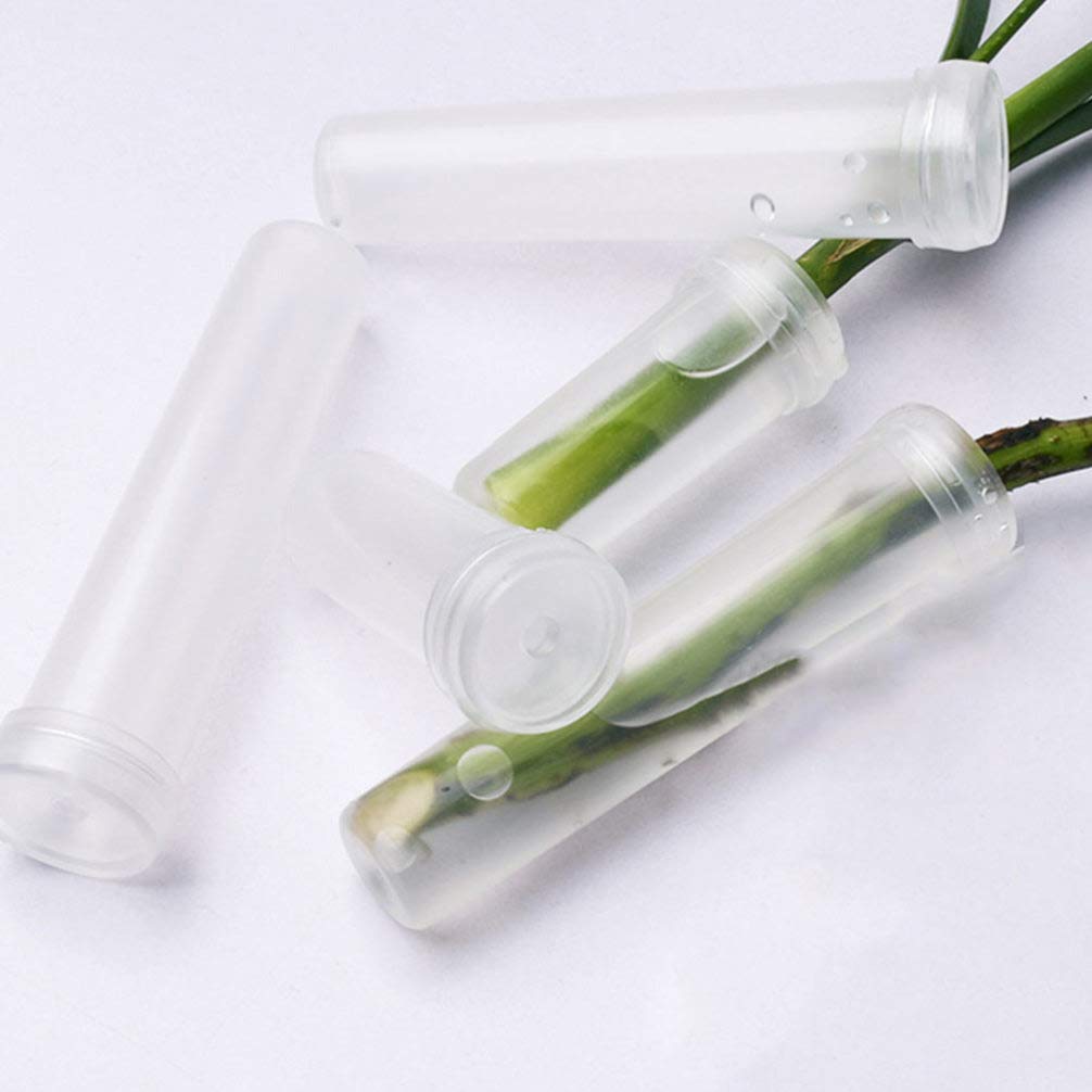 Cabilock 100Pcs Clear Plastic Floral Water Tubes - Terrarium Glass Vase, Culture Tubes & Transparent Vials for Air Plants, Orchids, and Floral Arrangements | Perfect for DIY Home Decor, Wedding Centerpieces, and Plant Propagation