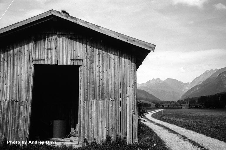 Ferrania P30 Black and White 35mm Film Roll (36 Exposures) - Perfect for Vintage Photography, Street Shots & Film Camera Enthusiasts