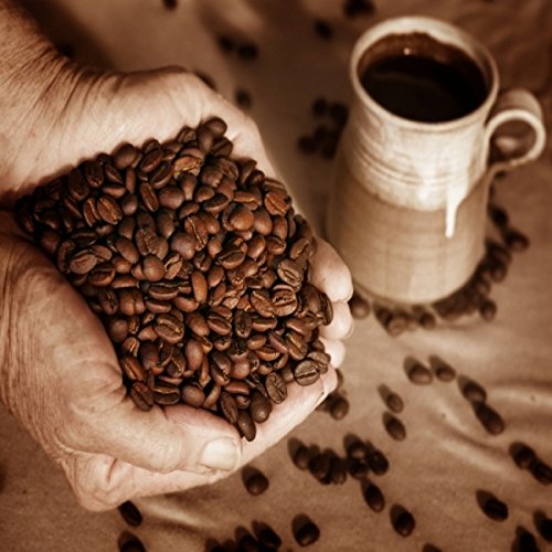 Premium Arabica Coffee Beans with Chocolate & Caramel Flavor - 5lb Fresh Roasted Gourmet Coffee for Home Brewing, Office Use & Gifts - Specialty Whole Bean Coffee for Drip, French Press & Espresso Machines