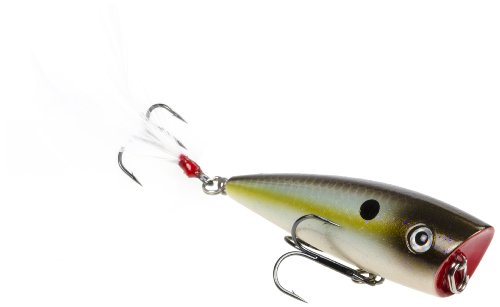 Summer Sexy Shad