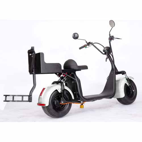 2000W 60V Electric Fat Tire Trike - 3 Wheel Scooter Moped Bike with Golf Rack, Similar to CityCoco Bike CT 3G - Perfect for Commuting, Golf Course Transport & Urban Adventure
