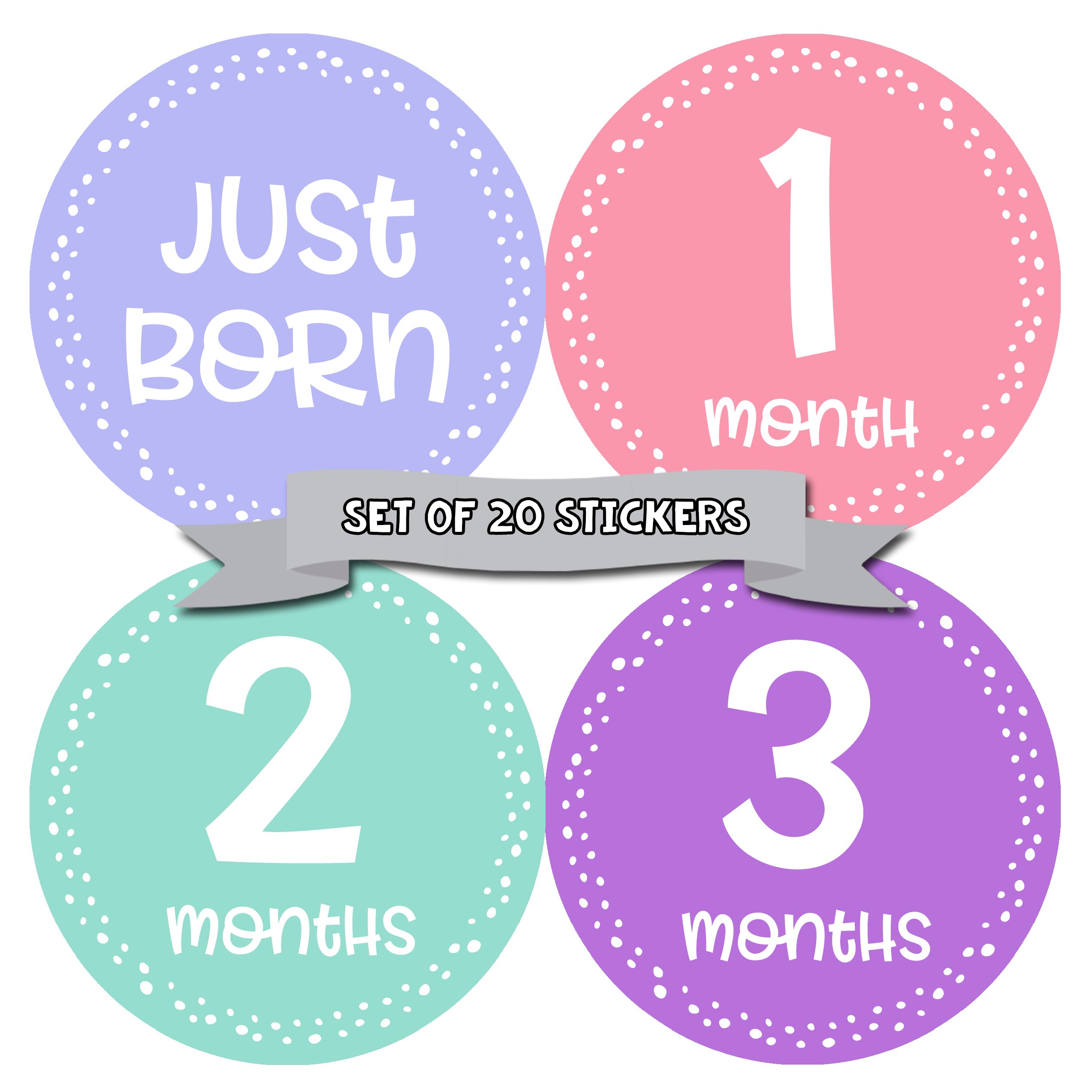 Baby Milestone Stickers Set of 20 - Newborn Monthly Growth Photo Stickers for Girls - Adhesive Baby Month Stickers for Scrapbooking, Photo Albums & Nursery Decor