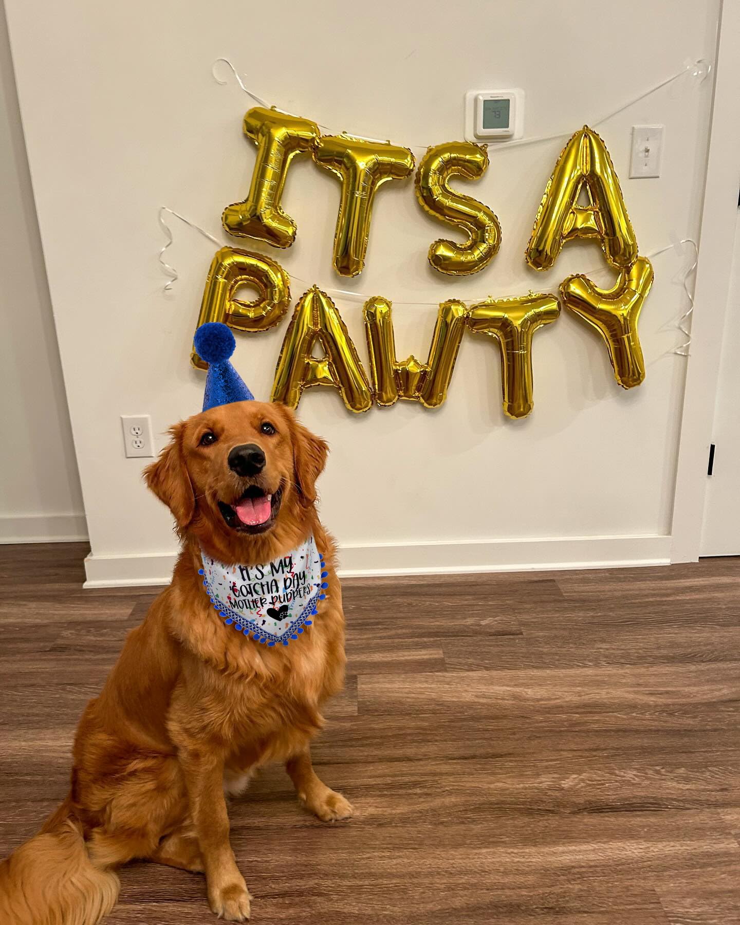 Dog Birthday Hat & Bandana Set - Cute Birthday Outfit for Small, Medium & Large Dogs - Perfect Gift for Dog Lovers - Great for Birthday Parties & Photo Shoots