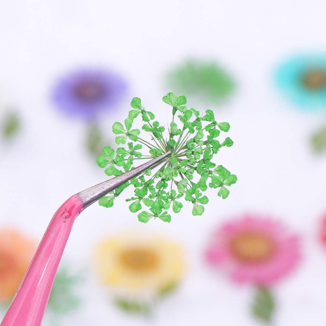 SOWUNO Dried Flower Nail Art Stones - 3D Nail Decorations & Jewel Accessories for DIY Manicure - Perfect for Wedding, Party, and Salon Nail Art Designs