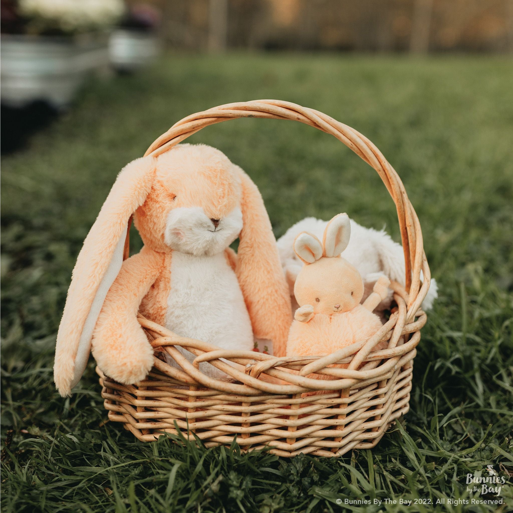 Retired Roly Poly Apricot Cream Bunny Plush Toy - Cute Collectible Stuffed Animal for Kids' Rooms, Nursery Decor & Gift Giving
