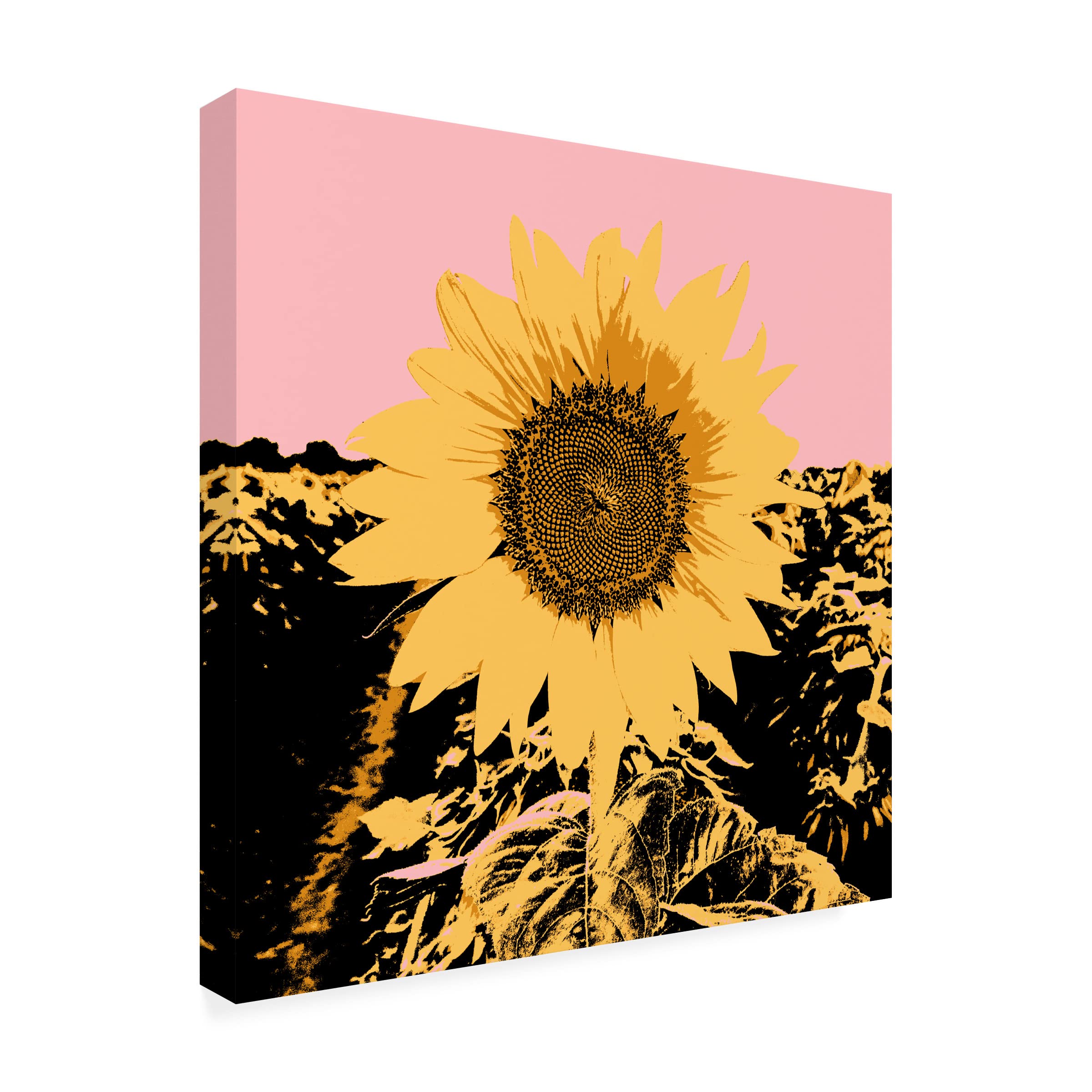 Jacob Green 'Pop Art Sunflower III' Canvas Wall Art Print - Modern Home Decor for Living Room, Bedroom & Office