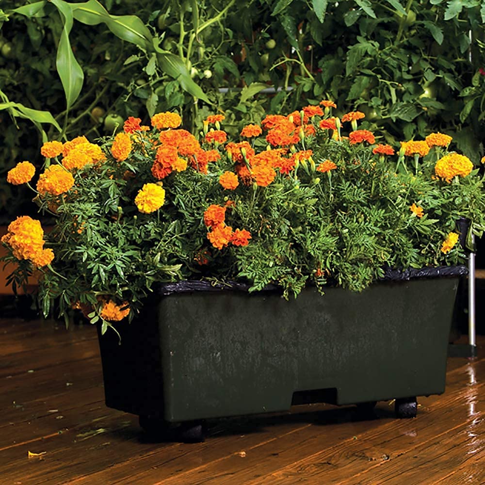Earthbox Garden Kit - Green (Pack of 2, Standard Size) | Self-Watering Planter Box for Vegetables, Herbs & Flowers | Perfect for Patio, Balcony & Indoor Gardening