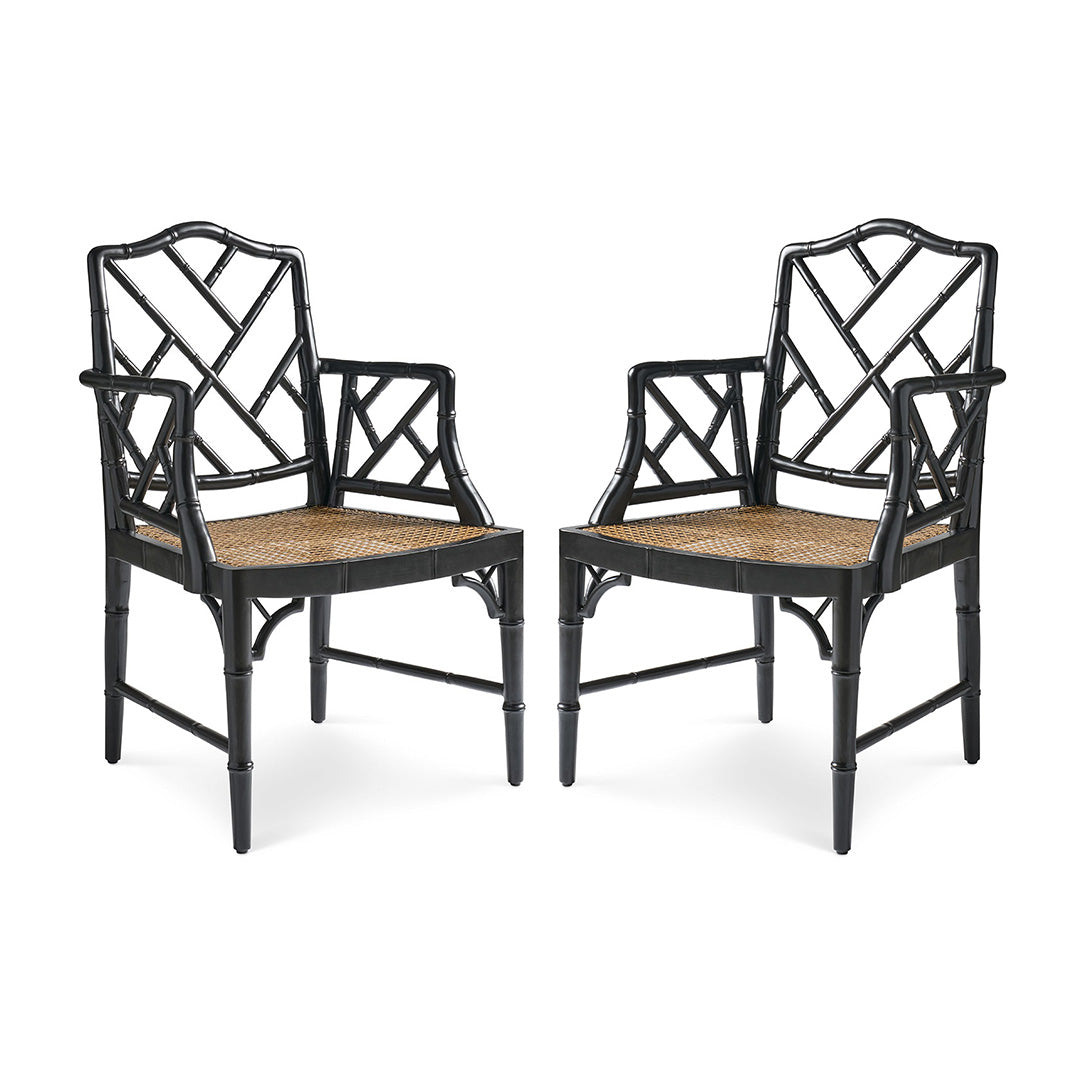 Graydon Chairs Set of 2 - Modern Black Dining Chairs for Kitchen, Dining Room & Office - Comfortable & Stylish Seating Solution