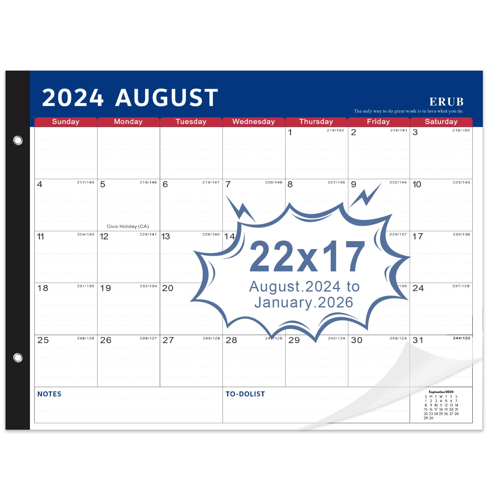 2024-2025 18-Month Desk Calendar Planner (Aug 2024-Jan 2026) | Large 22