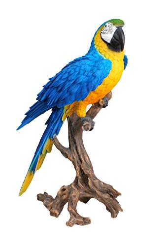 Hi-Line Gift Ltd. Large Macaw Scarlet Statue - Vibrant Blue & Yellow Parrot Figurine for Home Decor, Garden, or Office Display