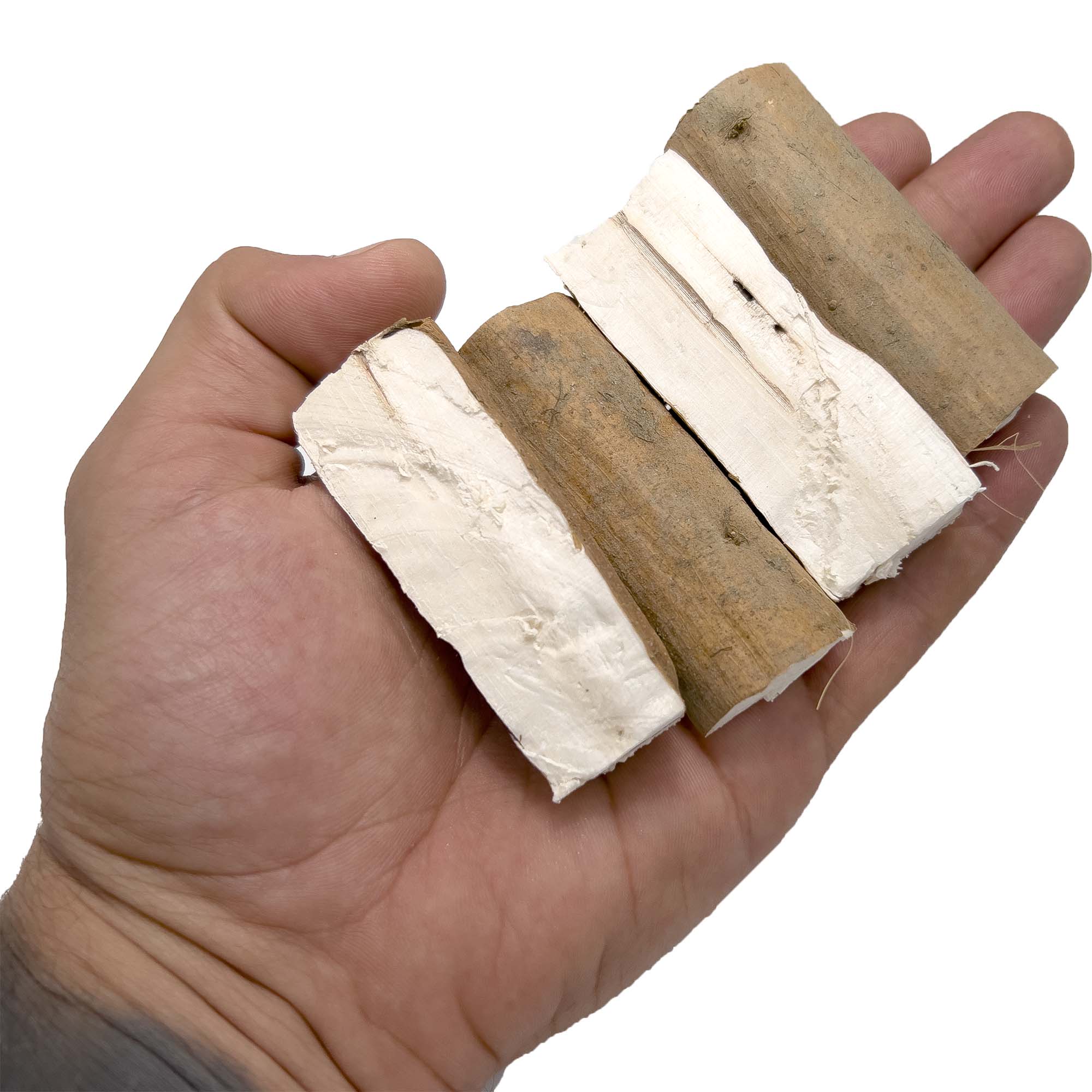 5034 Big Sola Beak Slabs - Premium Wooden Bird Perches for Parrots & Large Birds - Perfect for Aviaries, Cages & Natural Climbing Enrichment