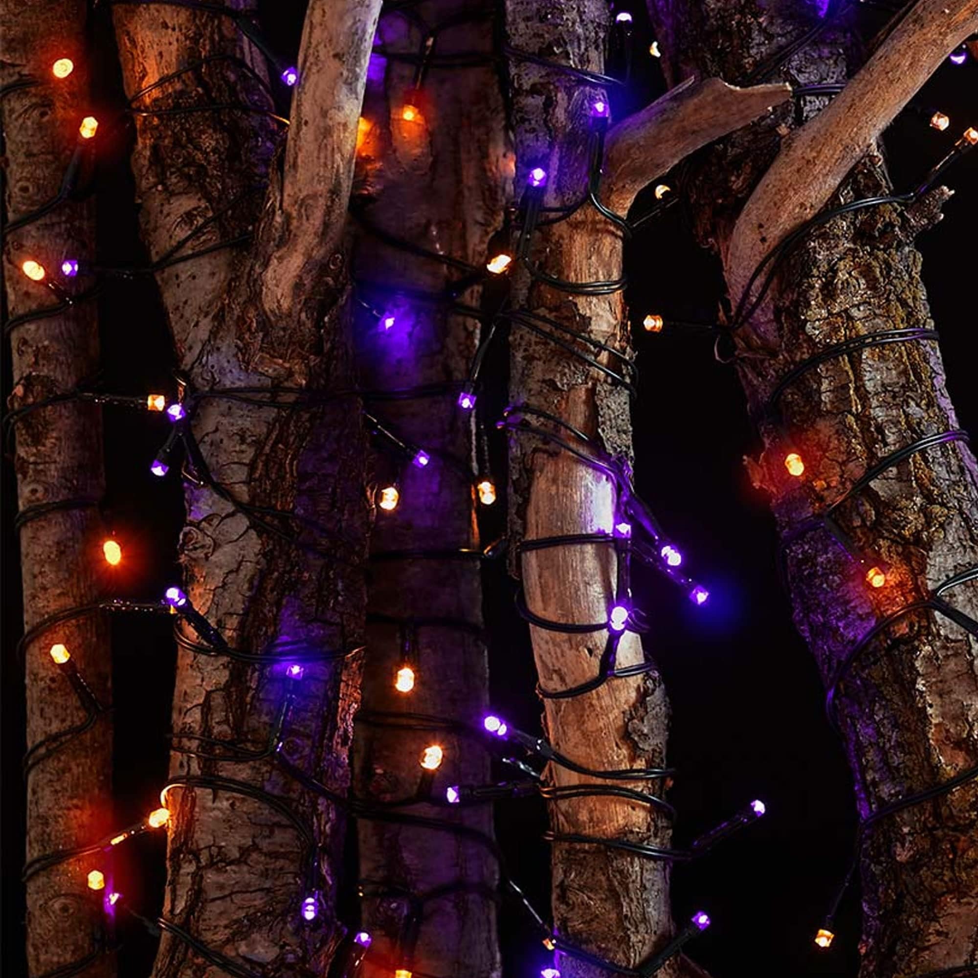 TW SHINE 200 LED 66FT Halloween String Lights - Waterproof Outdoor/Indoor Decor with 8 Lighting Modes for Halloween Party, Yard, Haunted House (Orange & Purple) - Perfect for Halloween Night Decorations, Pumpkin Displays & Spooky Atmosphere Creation
