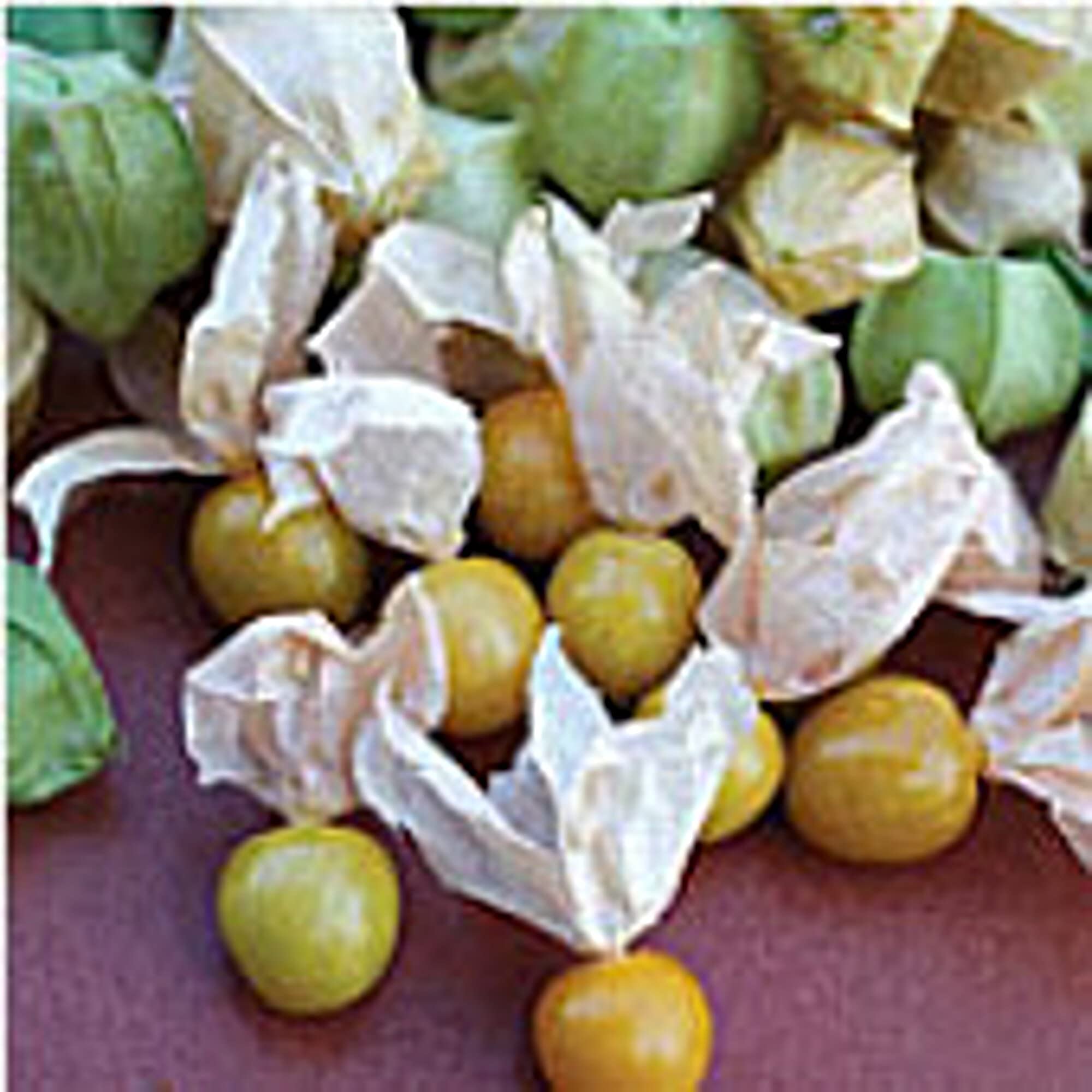 Non-GMO Pineapple Tomatillo Seeds (20+ Seeds) - Heirloom Vegetable & Fruit Seeds for Planting | Home Garden, Greenhouse, or Container Gardening | Perfect for Salsas, Jams, and Fresh Eating