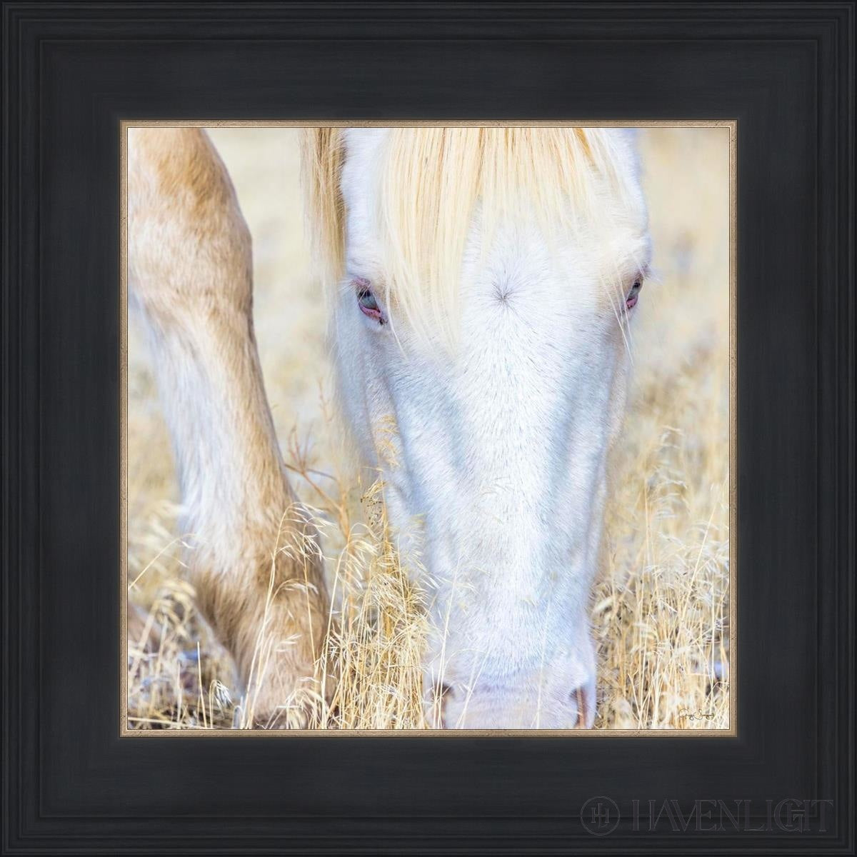 Dry Grass by Greg Sargent - Premium Handcrafted Home Decor for Rustic & Farmhouse Style - Perfect for Wall Art, Shelf Displays & Cozy Living Room Decor