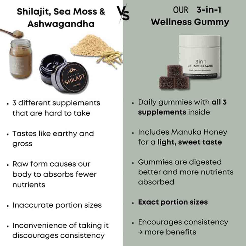 Premium Cured 3-in-1 Shilajit Gummies for Men - Pure Himalayan Resin Supplement (2-Piece Pack) | Boost Energy, Stamina & Vitality - Perfect for Workouts, Focus & Daily Wellness