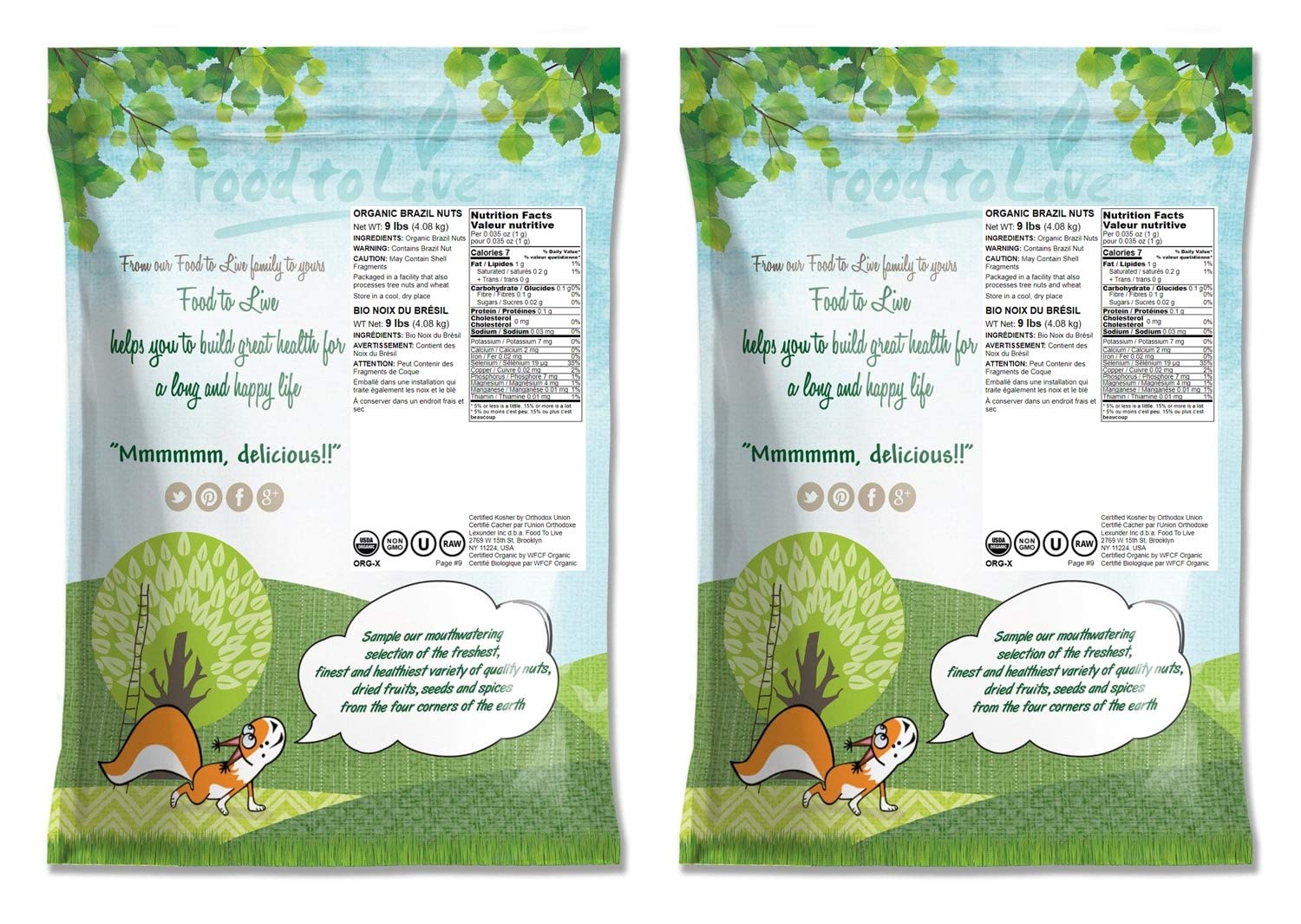 Organic Brazil Nuts 18 lbs - Raw, Shell-Free, Unsalted, Non-GMO, Kosher & Vegan Certified - Keto & Paleo Friendly Bulk Snack - High in Selenium - Perfect for Trail Mix, Baking & Healthy Snacking