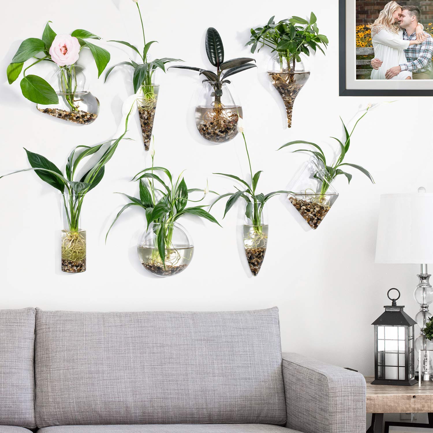 Geometric Glass Wall Hanging Planters - Set of 8 Air Plant Holders, Flower Vases & Terrariums for Indoor Succulents, Herbs & Home Decor - Perfect for Living Room, Office & Balcony