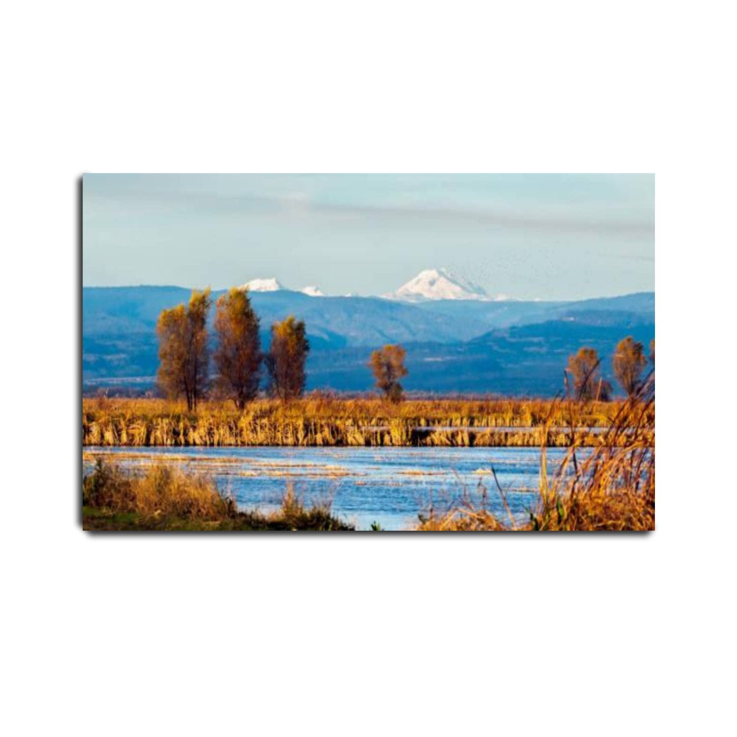 Framed Canvas Print Wall Art - Mt Lassen from The Rice Fields Landscape Painting, Stretched & Ready to Hang Home Decor (20x32 inches) - Perfect for Living Room, Bedroom or Office Wall Decor