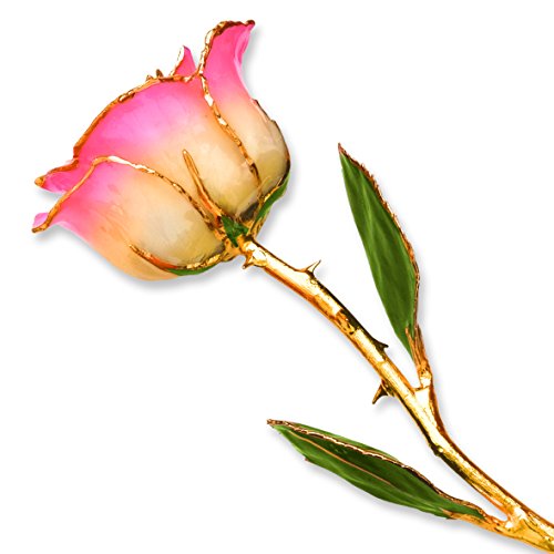 White Pink