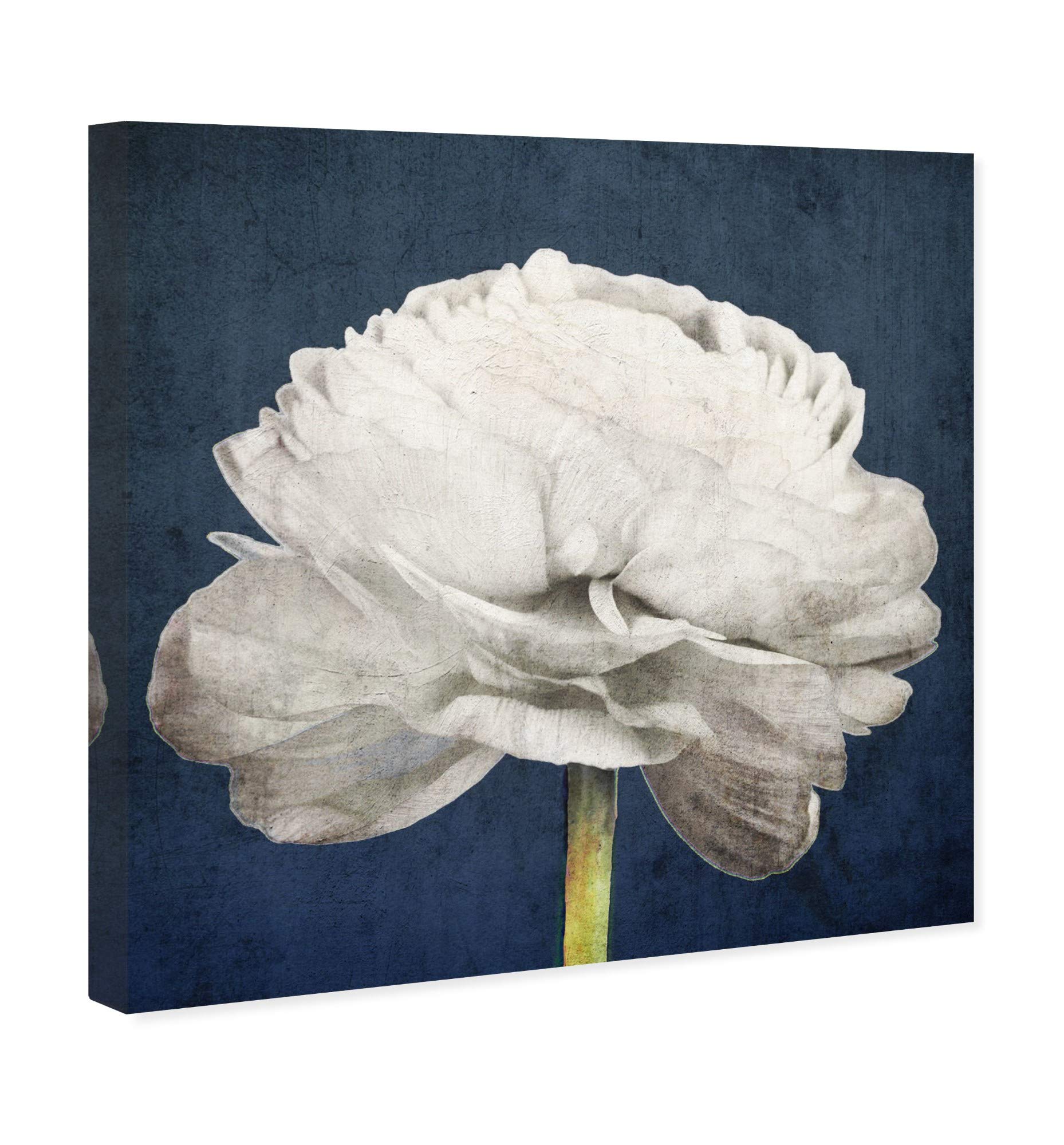 Oliver Gal Floral and Botanical Wall Art Canvas Prints - 'Pretty View' Nature Inspired Home Decor for Living Room, Bedroom & Office