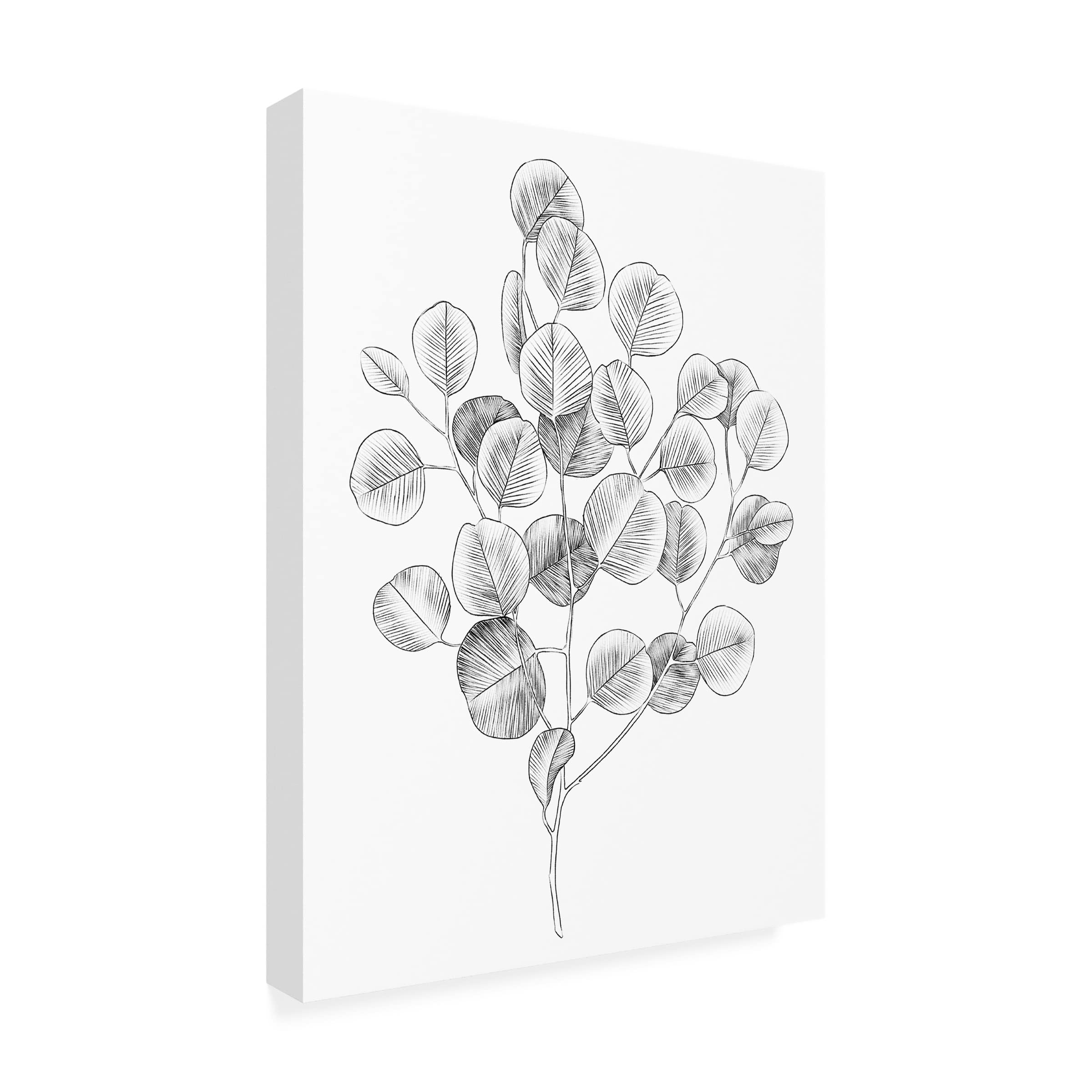Emma Scarvey 'Eucalyptus Sketch II' Canvas Wall Art Print - Modern Botanical Home Decor for Living Room, Bedroom & Office