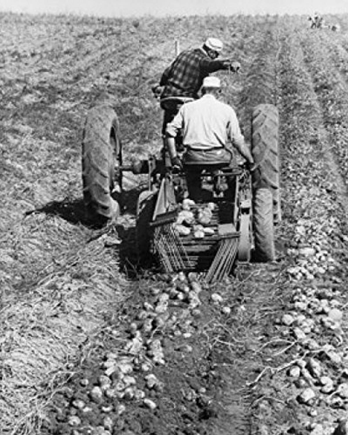 18x24 Farm Life Poster - Two Farmers Digging Potatoes with Tractor - Vintage Agriculture Wall Art for Farmhouse, Country Kitchen & Rural Home Decor