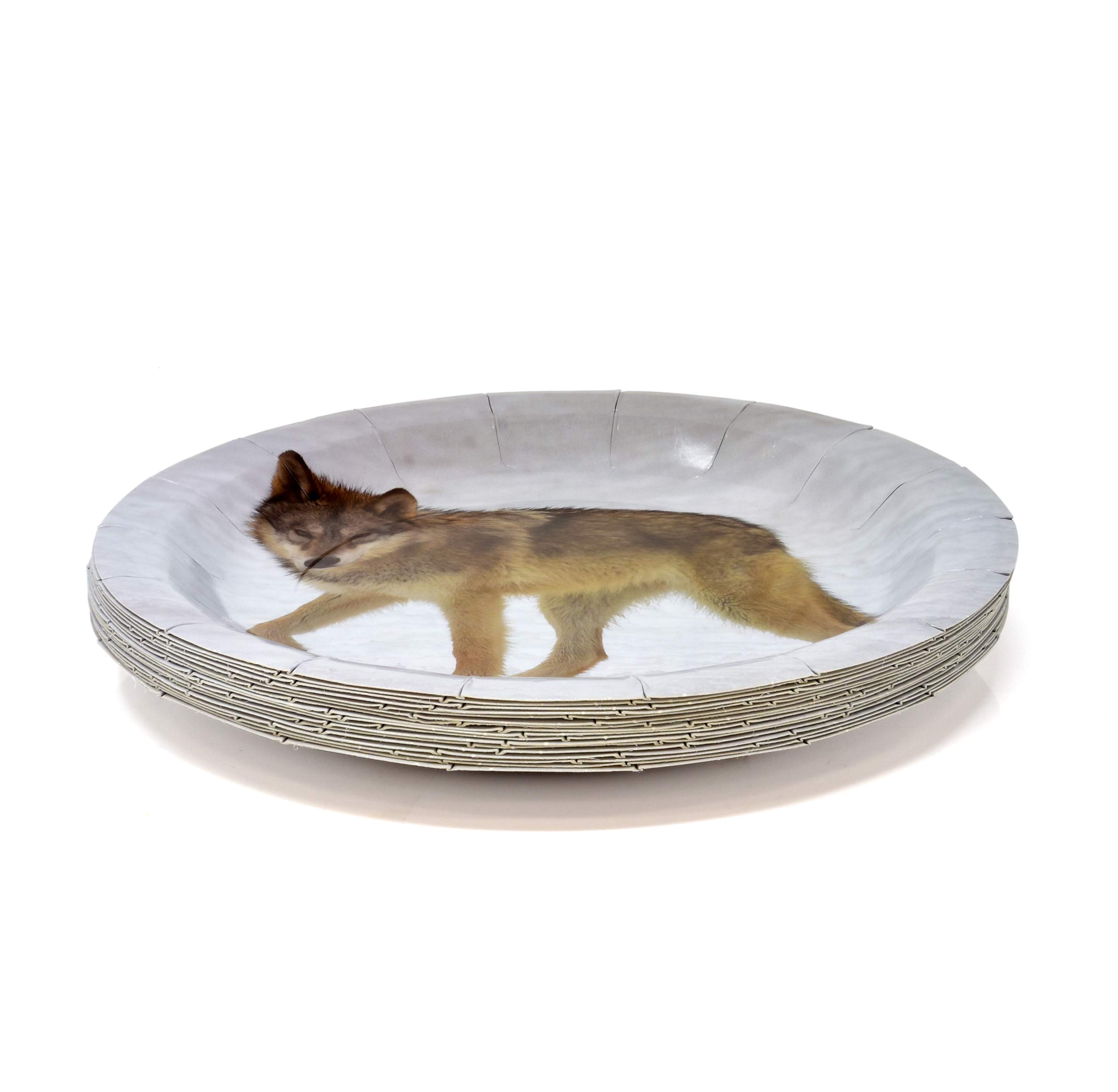 122-Piece Wolf Party Supplies Set - Disposable Paper Plates, Cups & Napkins for Jungle Safari, Zoo, Forest Hunting Birthday Theme - Serves 24 - Perfect for Wolf-Themed Parties, Baby Showers & Outdoor Adventures