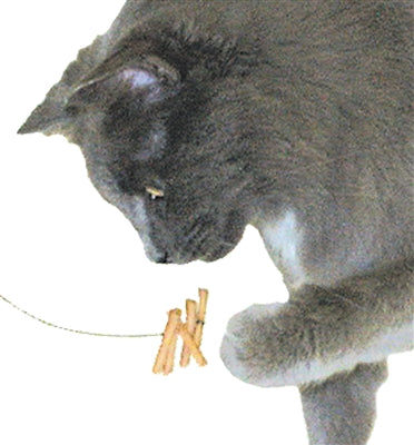 Original Cat Dancer Interactive Cat Toy - Single Wire Teaser Wand for Indoor Cats - Perfect for Playtime, Exercise & Bonding with Your Feline Friend