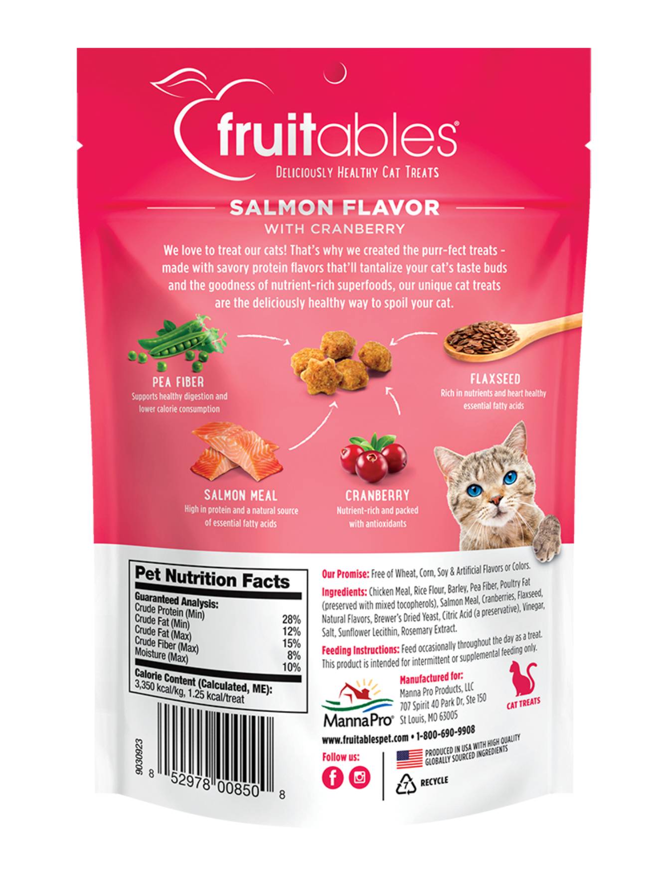 Fruitables Crunchy Salmon with Cranberry Cat Treats 2.5oz - Healthy Natural Cat Snacks for Indoor & Outdoor Cats - Perfect for Training, Rewards, and Bonding Time