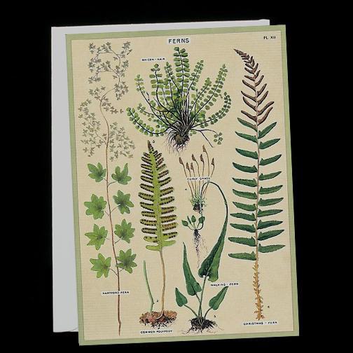 Beautiful Greeting Cards Set of 5 - Handmade Birthday, Thank You & Holiday Cards for All Occasions - Perfect for Gifts, Parties & Special Events