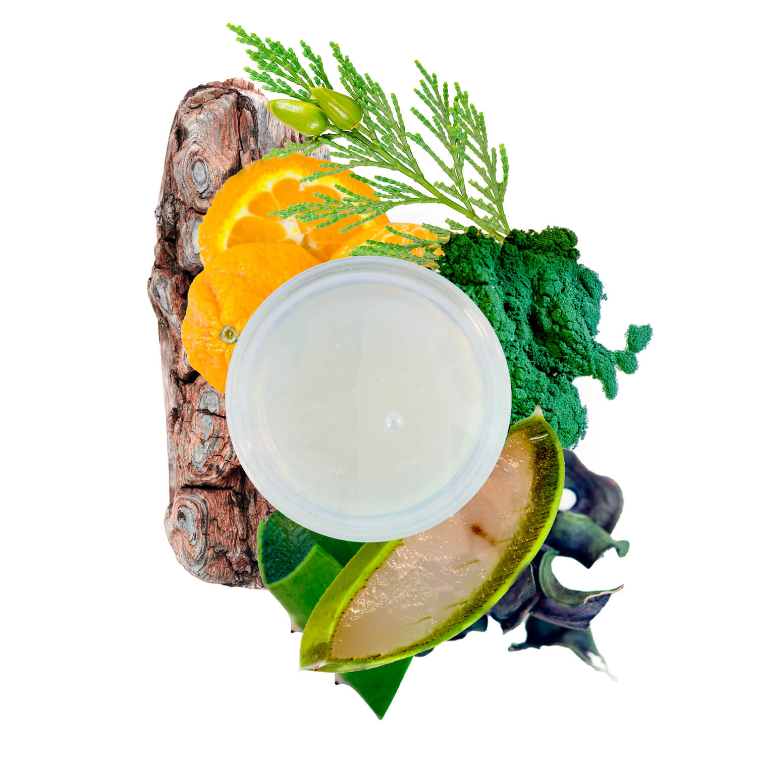 Wanderlust Natural Cleansing Hand Wash - Refreshing & Moisturizing for Dry Skin - Perfect for Travel, Home & Office Use