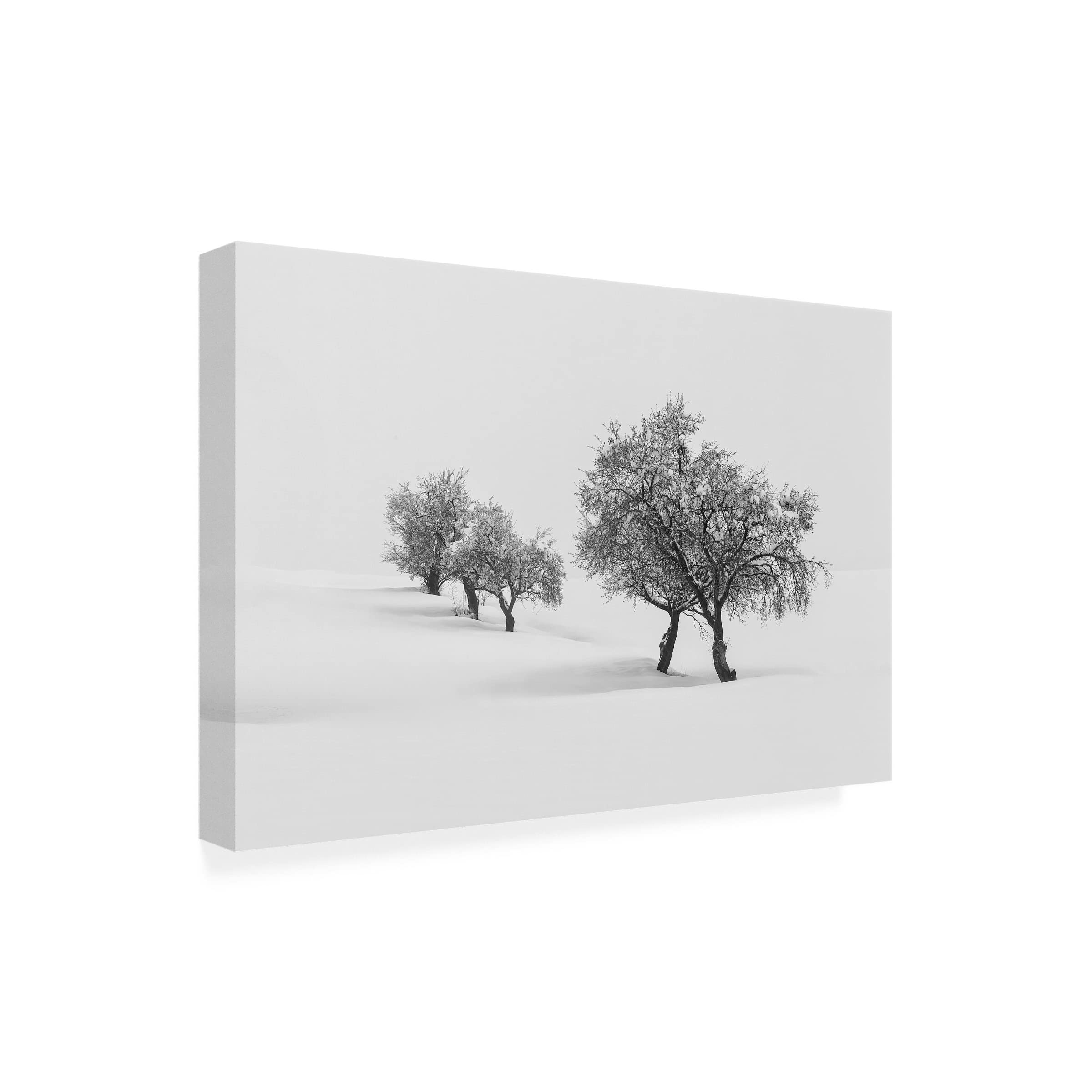 Trademark Fine Art 'White Carpet 2' Canvas Wall Art Painting by Antonio Carrillo Lopez - Perfect for Living Room, Bedroom & Office Decor