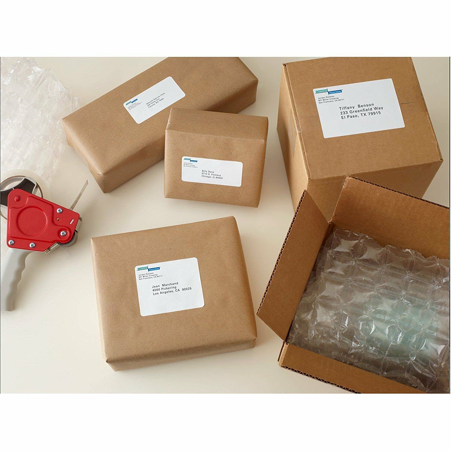 Coopaty 2 x 4 Inch Shipping Labels - 1000 Sheets (10000 Labels) Blank White FBA Address Labels for Laser & Inkjet Printers - Perfect for Amazon FBA, USPS, UPS & FedEx Packages