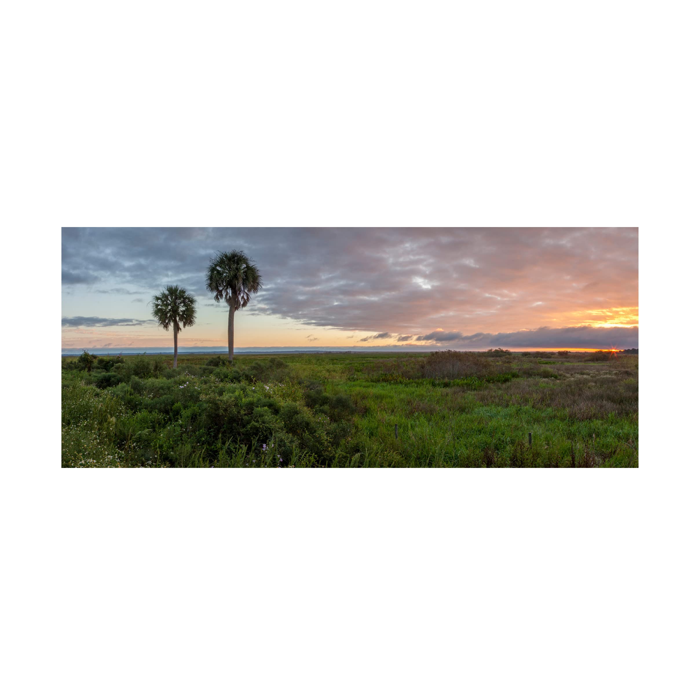 Trademark Fine Art 'Prairie Sunrise' Canvas Wall Art by H.J. Herrera - Landscape Painting for Living Room, Bedroom & Office Decor