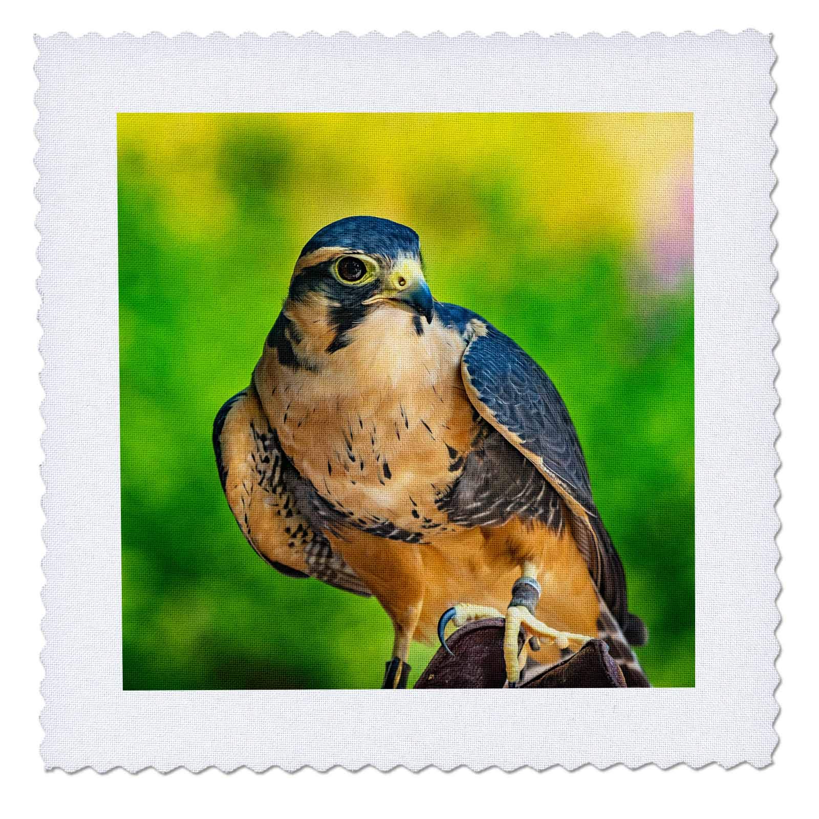 3dRose 14x14 Inch Peregrine Falcon Quilt Square - Perfect for DIY Quilting, Home Decor, and Unique Gift Ideas